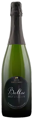 Afbeelding van Bullae