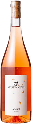 Afbeelding van Ancant